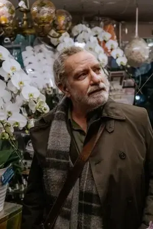 Phá Cục Phá Cục