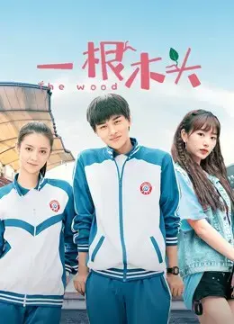 Một Khúc Gỗ Mùa 1 Một Khúc Gỗ Mùa 1