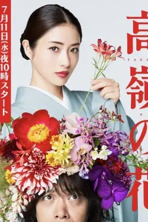 Nàng hoa trên đỉnh núi Nàng hoa trên đỉnh núi